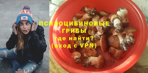 стафф Баксан